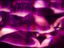 Fuckhead / Cassation