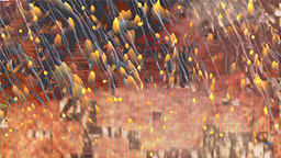 DVOA Blimp Broadcast